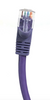 50ft Cat5E UTP Patch Cable (Purple)