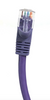 25ft Cat5E UTP Patch Cable (Purple)