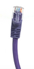 1ft Cat5E UTP Patch Cable (Purple)