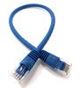 1 Foot CAT 6 Molded UTP Snagless RJ45 Networking Patch Cable - Blue 50-Pack