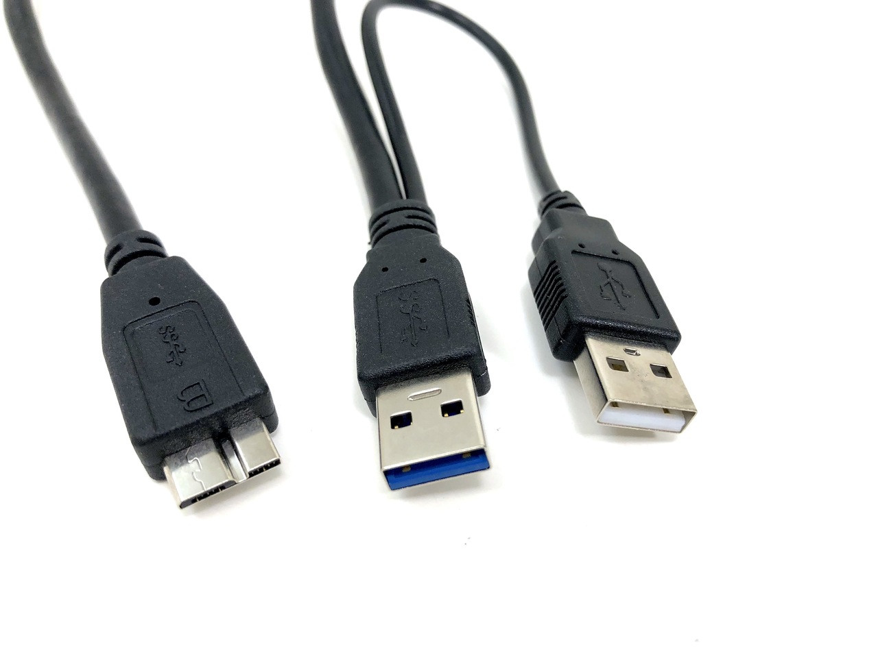 dual usb cord