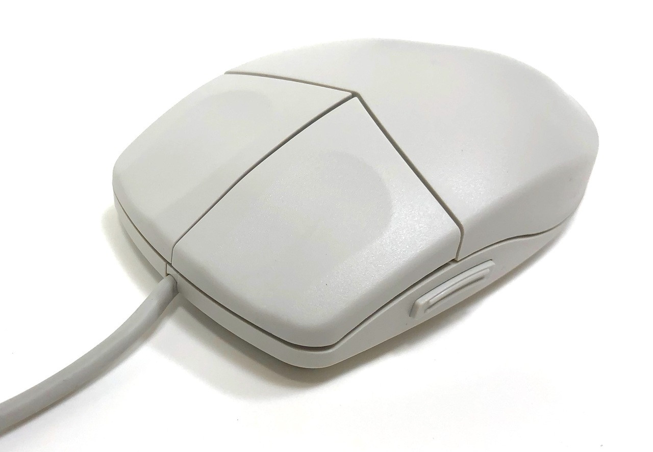 a mouse for computer