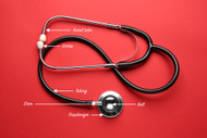 Anatomy of a Stethoscope: Everything You Need to Know  Anatomy of a Stethoscope: Everything You Need to Know