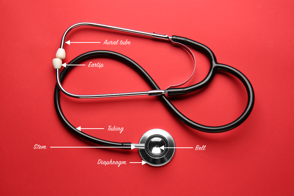 Anatomy of a Stethoscope Everything You Need to Know