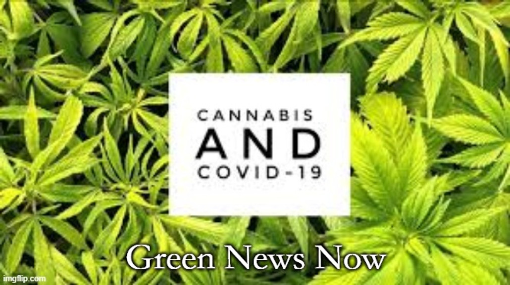 Green News Now: COVID-19 and the future of Cannabis