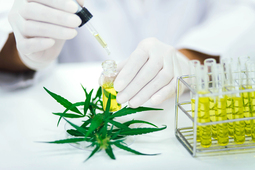 Green News Now : Can CBD block ACE2 and ease respiratory inflammation? Green News Now : Can CBD block ACE2 and ease respiratory inflammation?