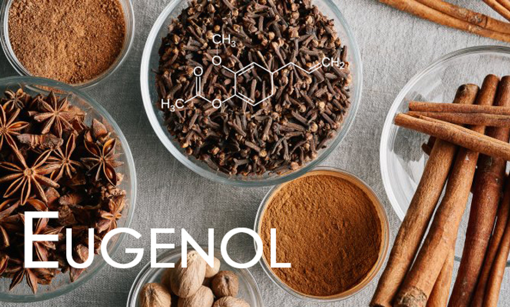 Terpene Tuesday : Eugenol Terpene Tuesday : Eugenol