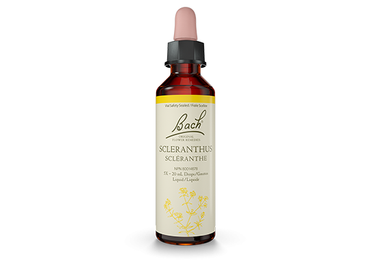 Bach Scleranthus Flower Essence 20 ml