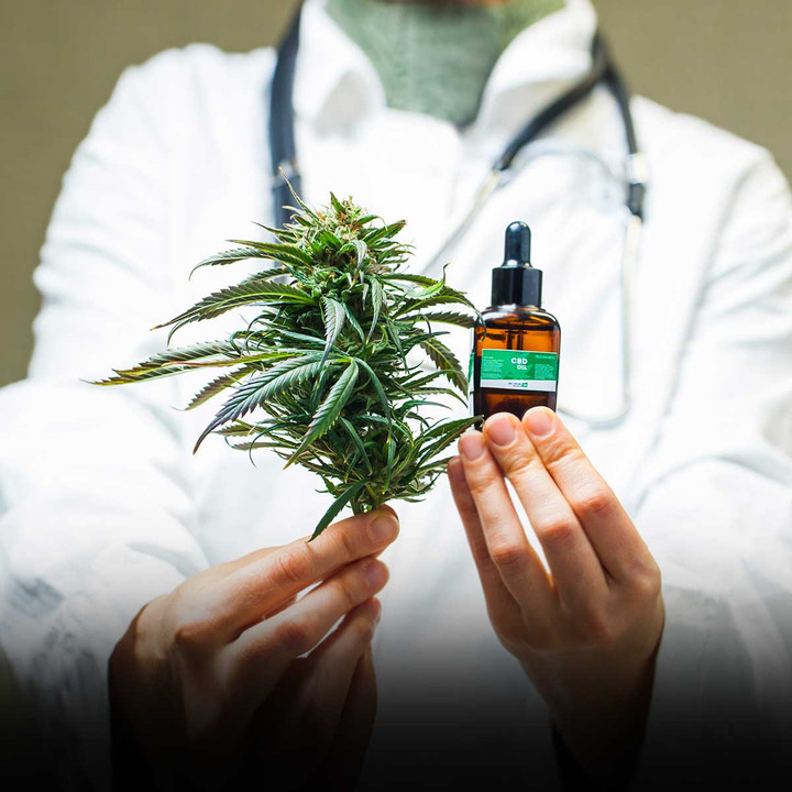 Social Impact of Cannabis Awareness Social Impact of Cannabis Awareness