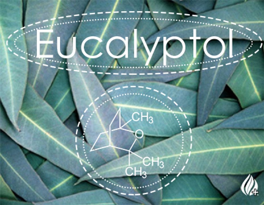 Terpene Tuesday: Eucalyptol