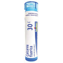 Boiron | Calcarea Fluorica | Homeopathic | 30c | 80 Pellets*