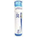 Boiron | Cina | Homeopathic | 30c | 80 Pellets*
