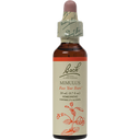 Bach Mimulus Flower Essence 20mL