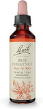 Bach Red Chestnut Flower Essence 20mL