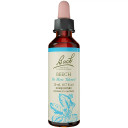 Bach Beech Flower Essence 20 ml