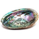 Abalone Shell Incense Holder and Sage Smudge Bowl