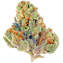 Tahoe OG Indica Dominant THCa Bud Flower by the gram