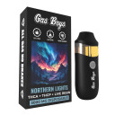 Gas Boys Northern Lights 3000mg Disposable