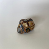Enter the Earth | Polished Pebble | Dendritic Agate