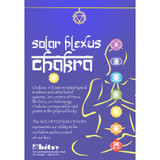Chakra Necklace With Gold Charm