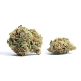 Sashimi Hybrid THCa Flower By the Gram