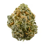 Blue Dream Sativa THCa Flower By the Gram