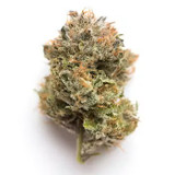 G33 20% Sativa By The Gram
