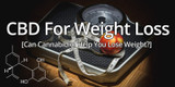 ​Green News Now: Can CBD assist with weight loss?