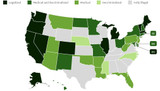 Green News Now : Marijuana legalization spreading across the US