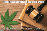 ​Green News Now : FDA report CBD brands non-compliant and illegal marketing