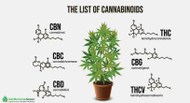 Let's Talk About Cannabinoids