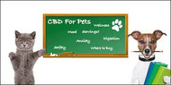 ​Green News Now : CBD for our furry friends