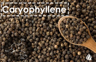 Terpene Tuesday : Caryophyllene 