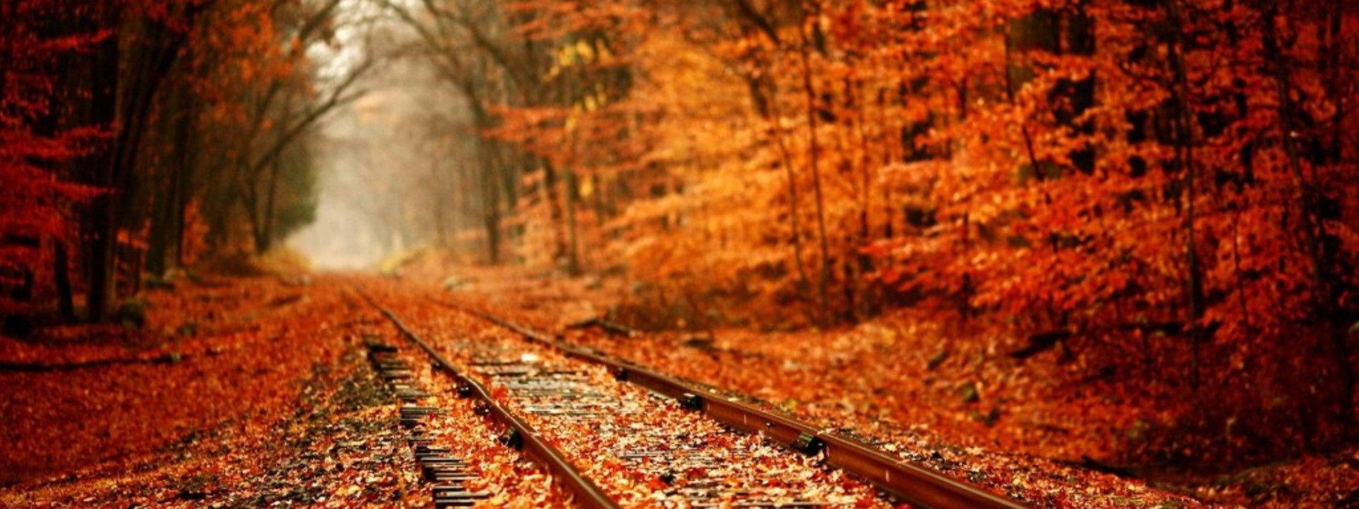 November Specials Are Here!