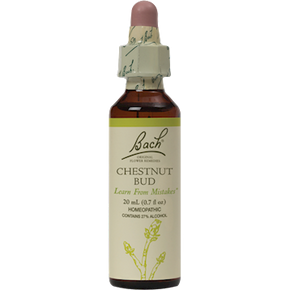 Bach Chestnut Bud Flower Essences 20 ml