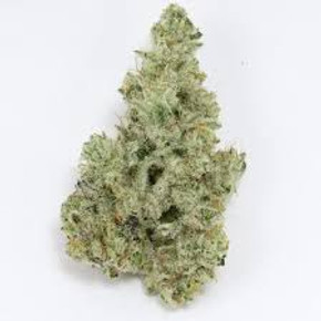 Cap Junkie Hybrid THCa Bud Flower By The Gram Cap Junkie Hybrid THCa Bud Flower By The Gram