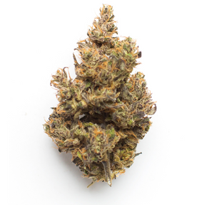 Black Cherry Soda Hybrid THCa Flower by the gram