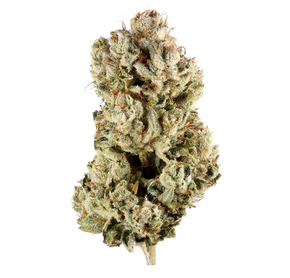 Super Boof 32% Sativa By The Gram