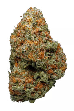 Willie Nelson Sativa THCa Flower by the Gram Willie Nelson Sativa THCa Flower by the Gram