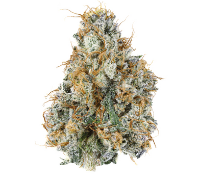 Gary Payton 30% Hybird By The Gram
