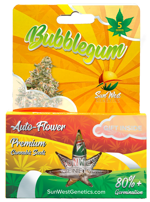 Sun West Genetics Bubblegum Autoflower Cannabis  Seeds
