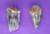 Crystal's, Stones & Gems, Raw Cut Red Capped Amethyst