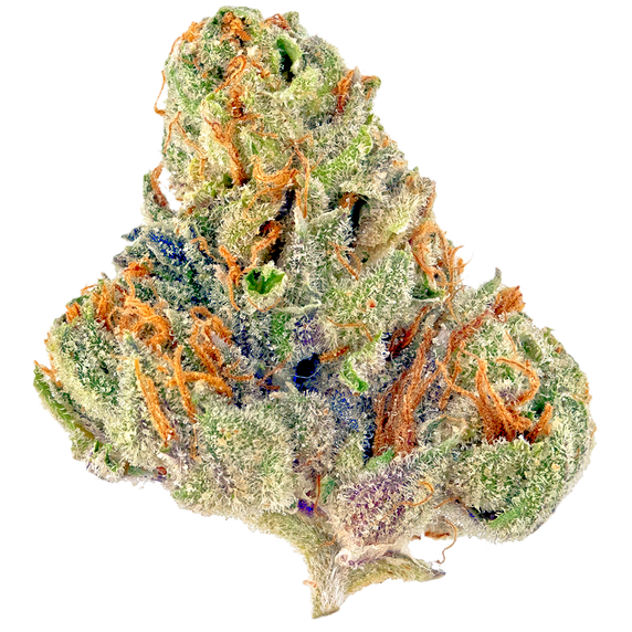Tahoe OG Indica Dominant THCa Bud Flower by the gram