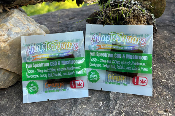 AdapTo Functional Mushrooms Adaptogens and CBD in 2 Sizes
