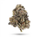 Cereal Milk Sativa THCa Flower By the Gram