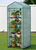 The Emerald Escalator | 4-Tier High-Density Nursery - E1