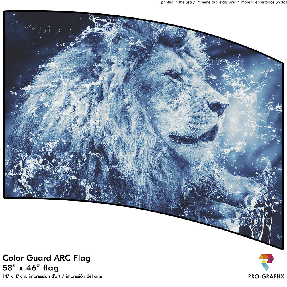 Lionページ LION - Pro-Graphx