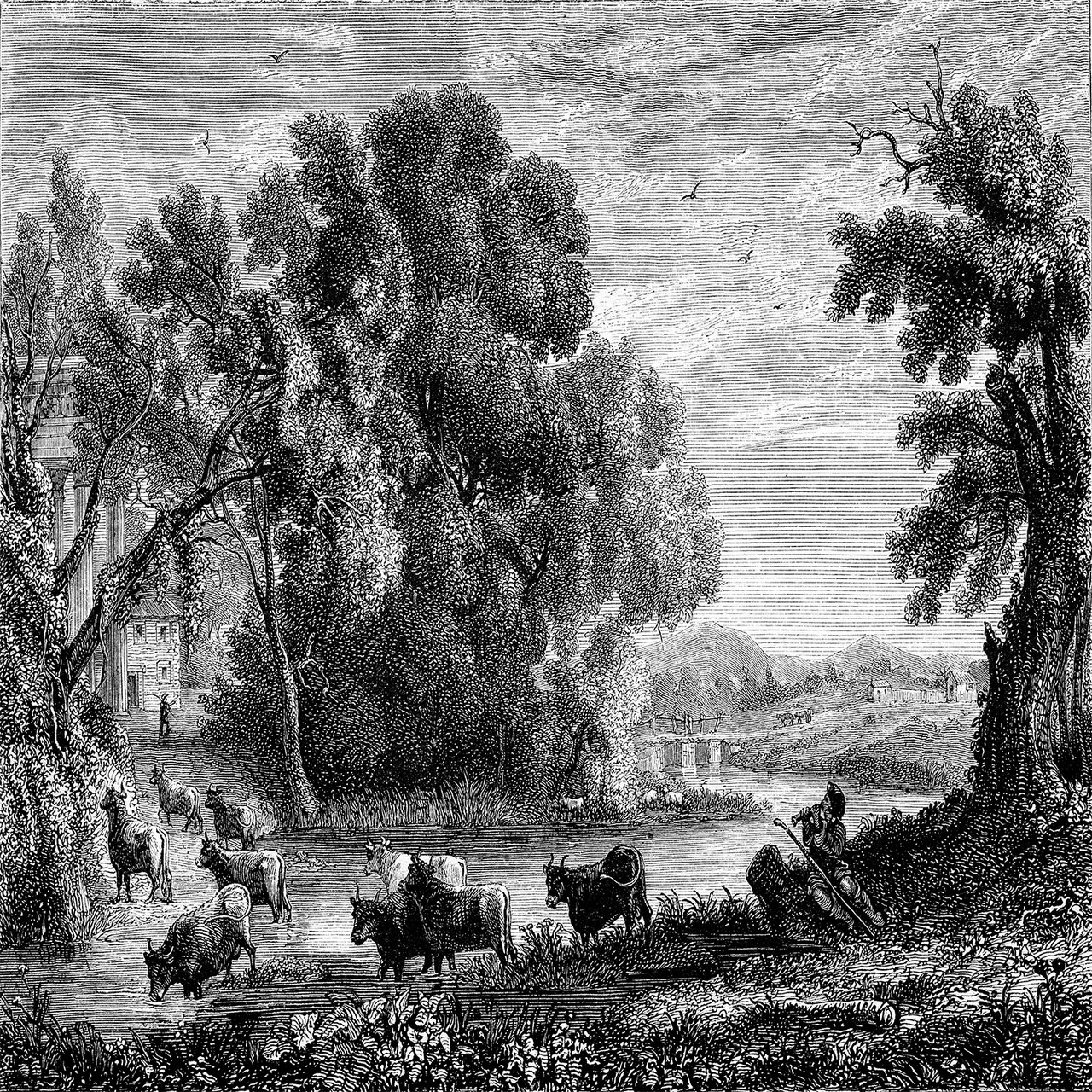 Vintage Landscape - Pro-Graphx