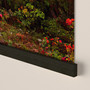 Canvas Wall Mural - Mystical Woodlands
