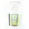 Aloe Hypo A Shampoo in 5 gallon size.